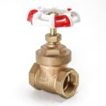 VALVULA GATE PESADA 3/4" T/RW