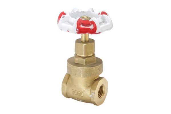 VALVULA GATE PESADA 1/4" T/RW