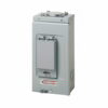 CAJA TERMICA 2 CKT 40AMP NEMA 3R INTEMPERIE