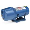 BOMBA JET 1HP 115-230V JRS10 GOULDS DP 5.25"