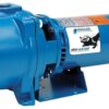 BOMBA CENTRIFUGA 1HP 115-230V GT10 GOULDS