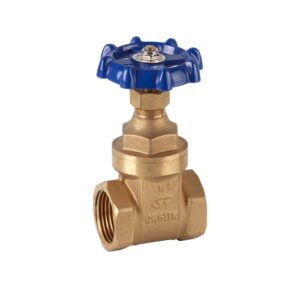 VALVULA GATE PESADA 1-1/4" 300PSI GENEBR