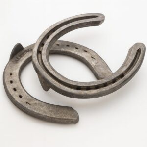 HERRADURA LIBERO T-31 MDP 22X10 2