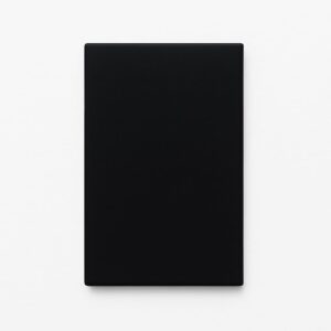 PLACA CIEGA PLASTICA NEGRO EBANO SIMON