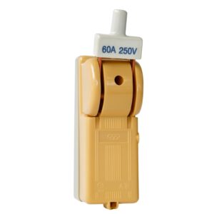 SWITCH PROTEGIDO 60AMP-2POLOS