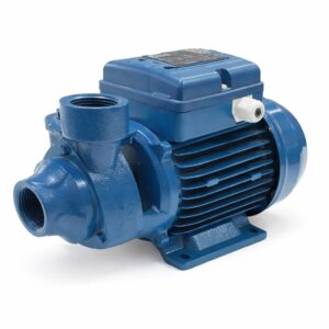 BOMBA PERIFERICA 1/2HP 110V PENTAX