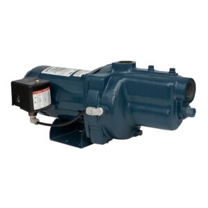 BOMBA CONVERTIBLE VERSAJET 1HP SCHAEFER