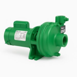 BOMBA CENTRIFUGA 2HP-1F 125M2 MYERS