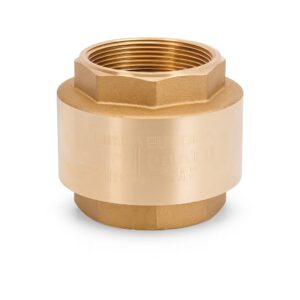 VALVULA CHEQUE PESADA 3" NPT BUGATTI