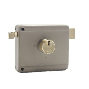 CHAPA DE PARCHE IZQUIERDA CLASICA