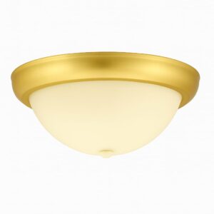 LAMPARA TECHO 7701-0