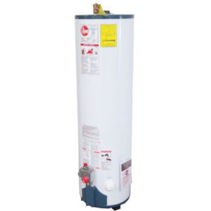 CALENTADOR DE AGUA GAS 30 GLS LP RHEEM