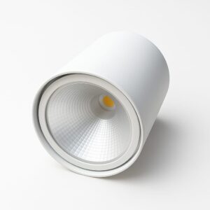 PROYECTOR LED BLANCO 30W 4000K 110-220V